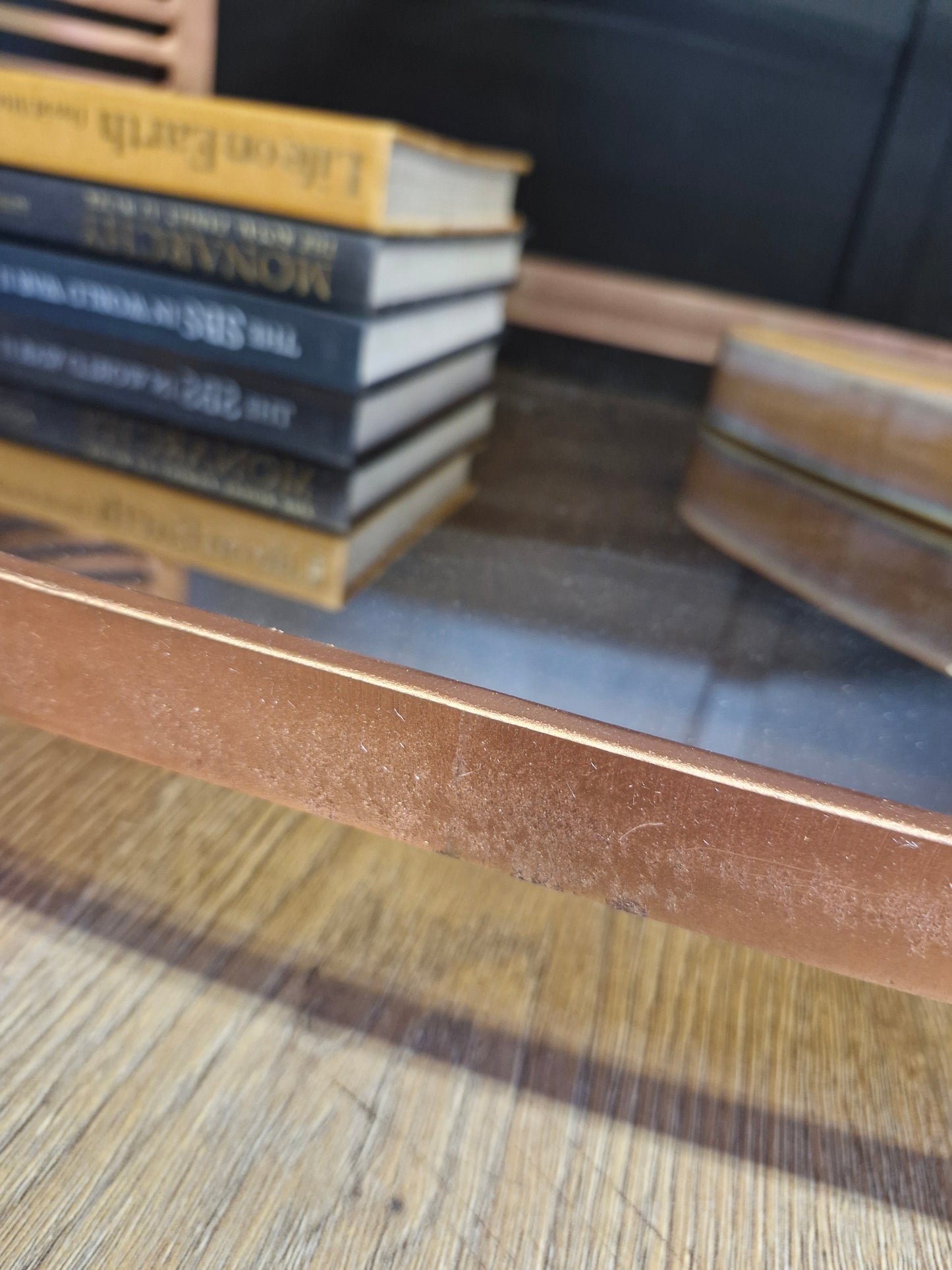 Oval Coffee Table / Rose Gold Coffee table metal frane and smoked glass top with shelf