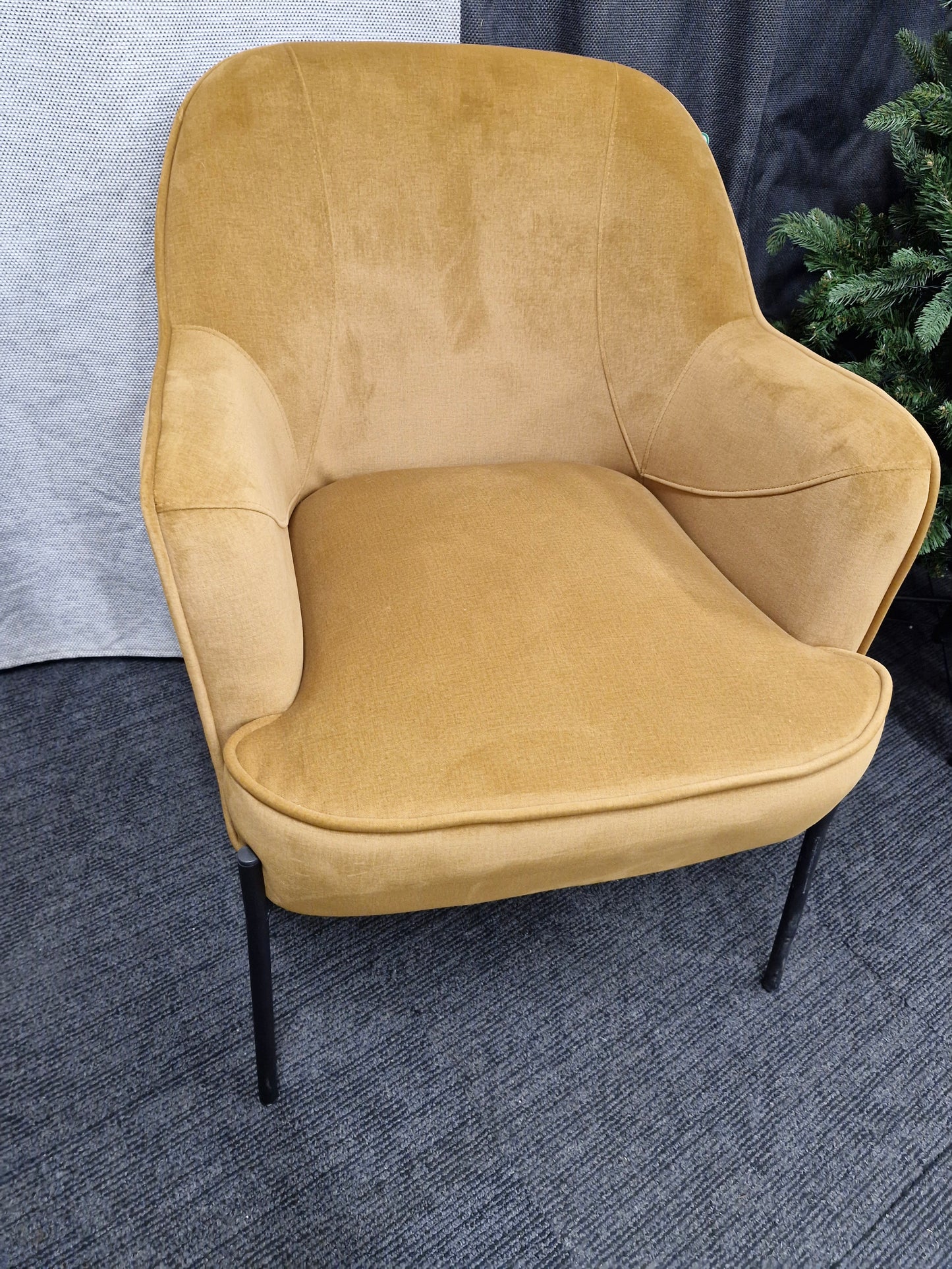 Mustard velvet armchair and black metal legs
