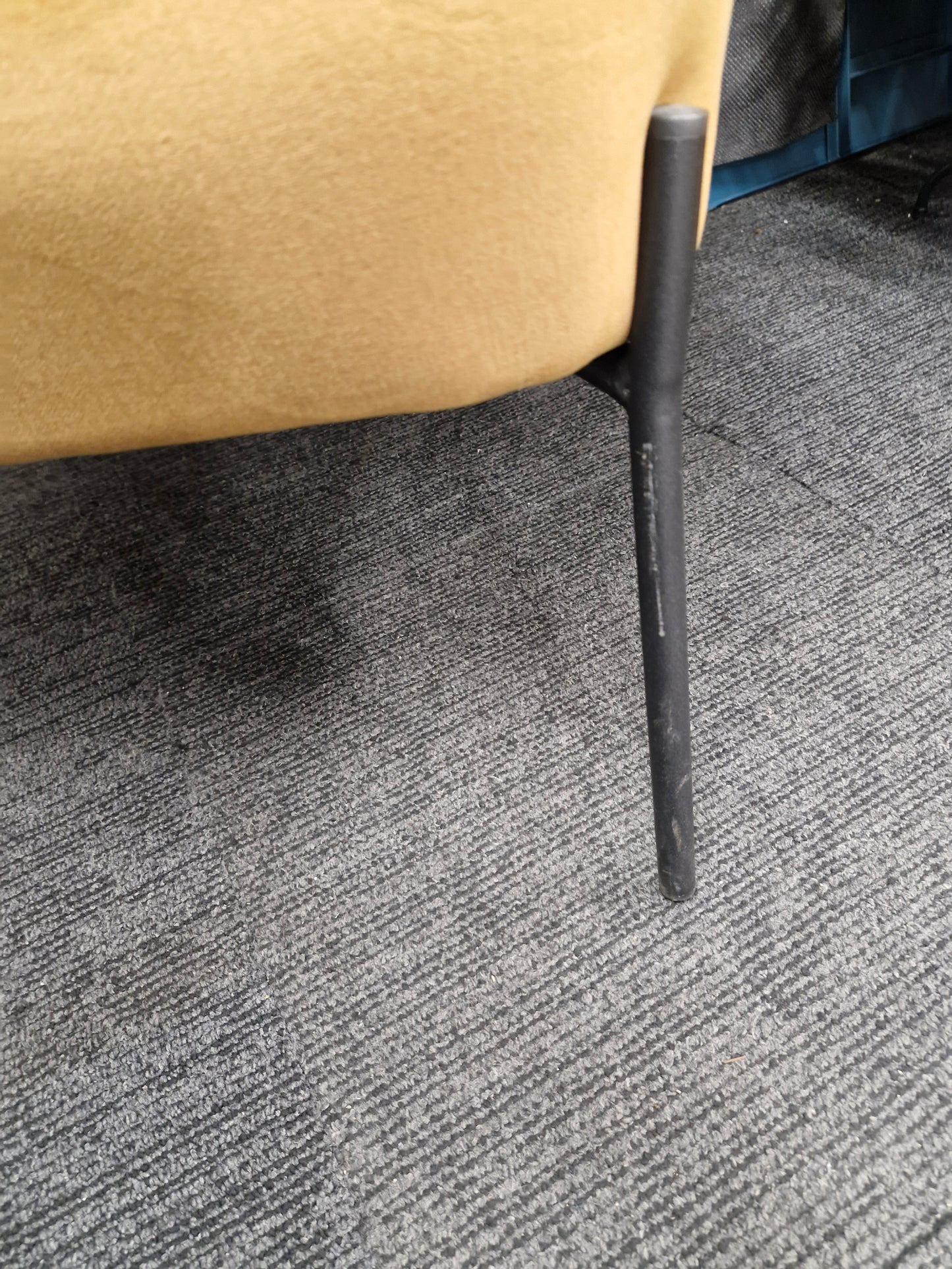 Mustard velvet armchair and black metal legs