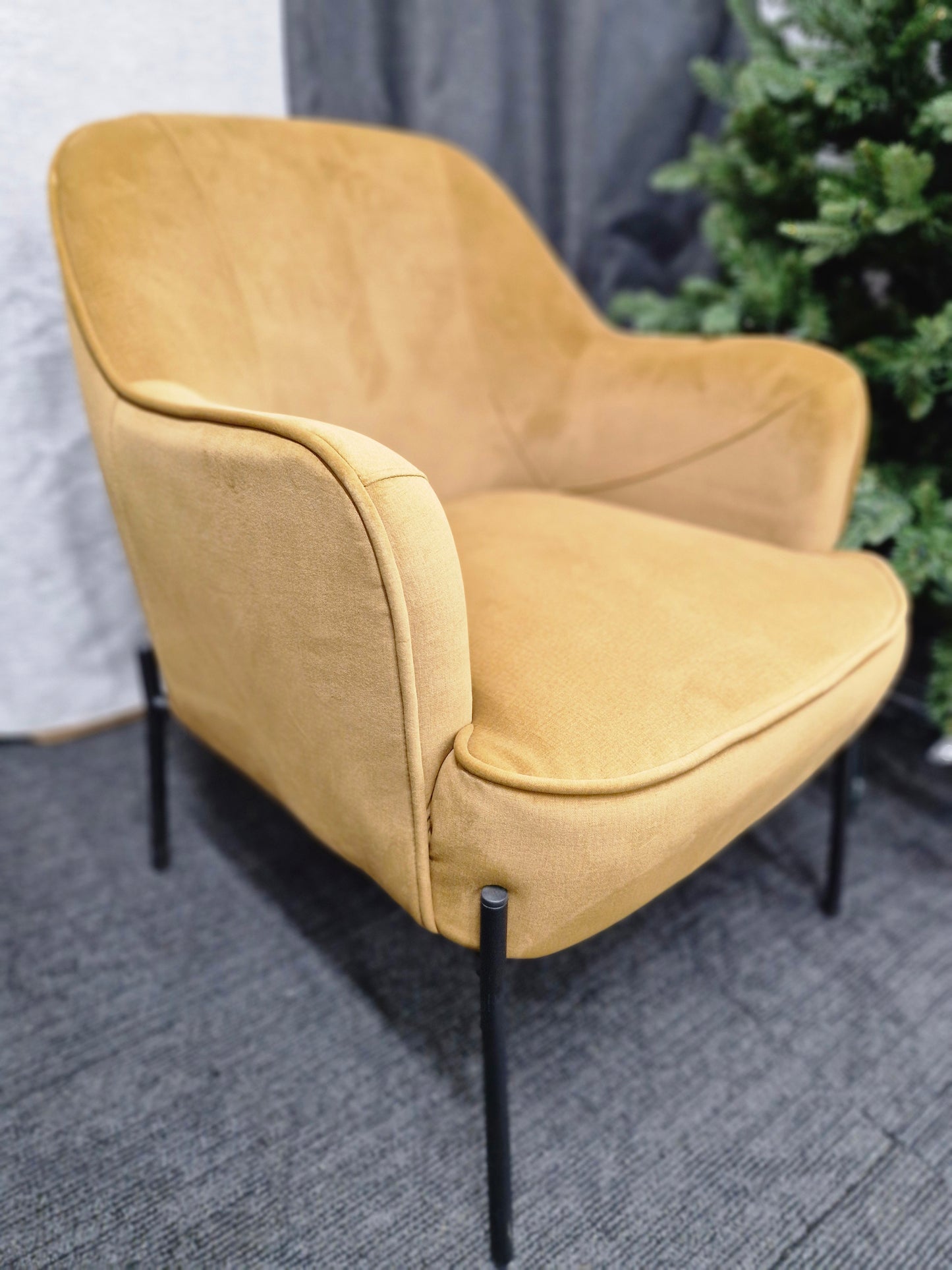 Mustard velvet armchair and black metal legs