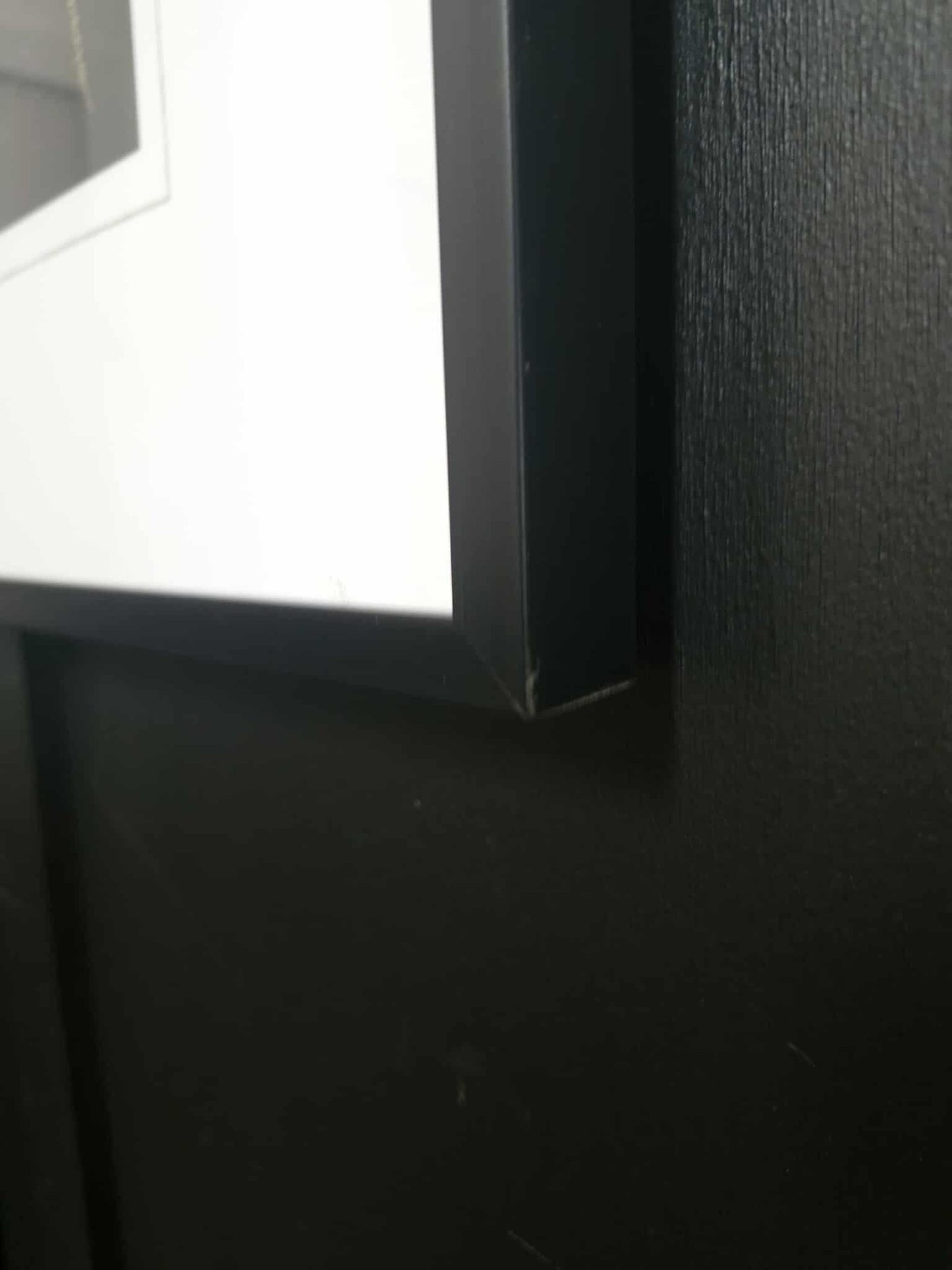 Black and Gold Wall Art / Fern 1
