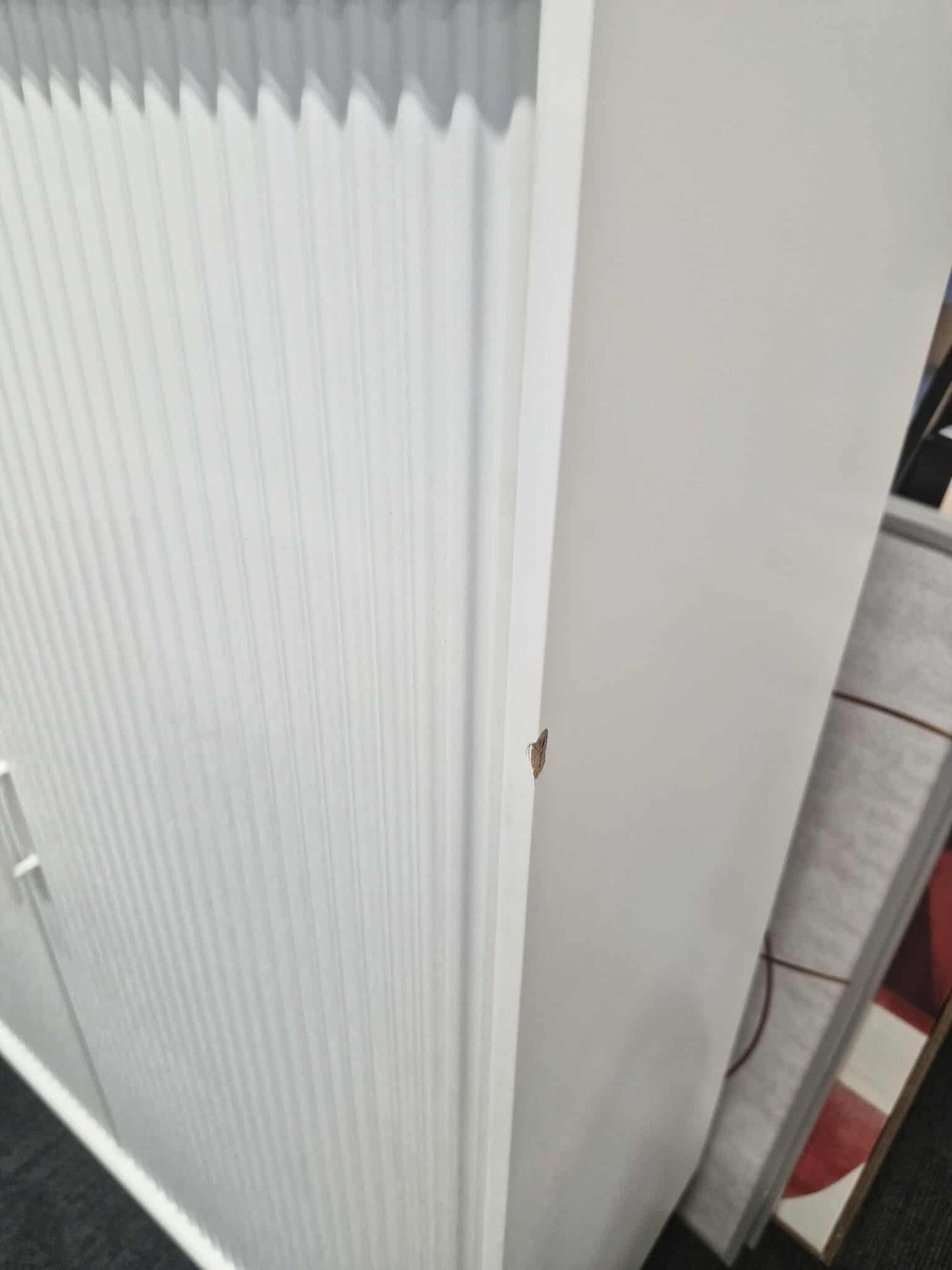 Large and HIgh Cabinet with 2 Ridge Doors / Greige