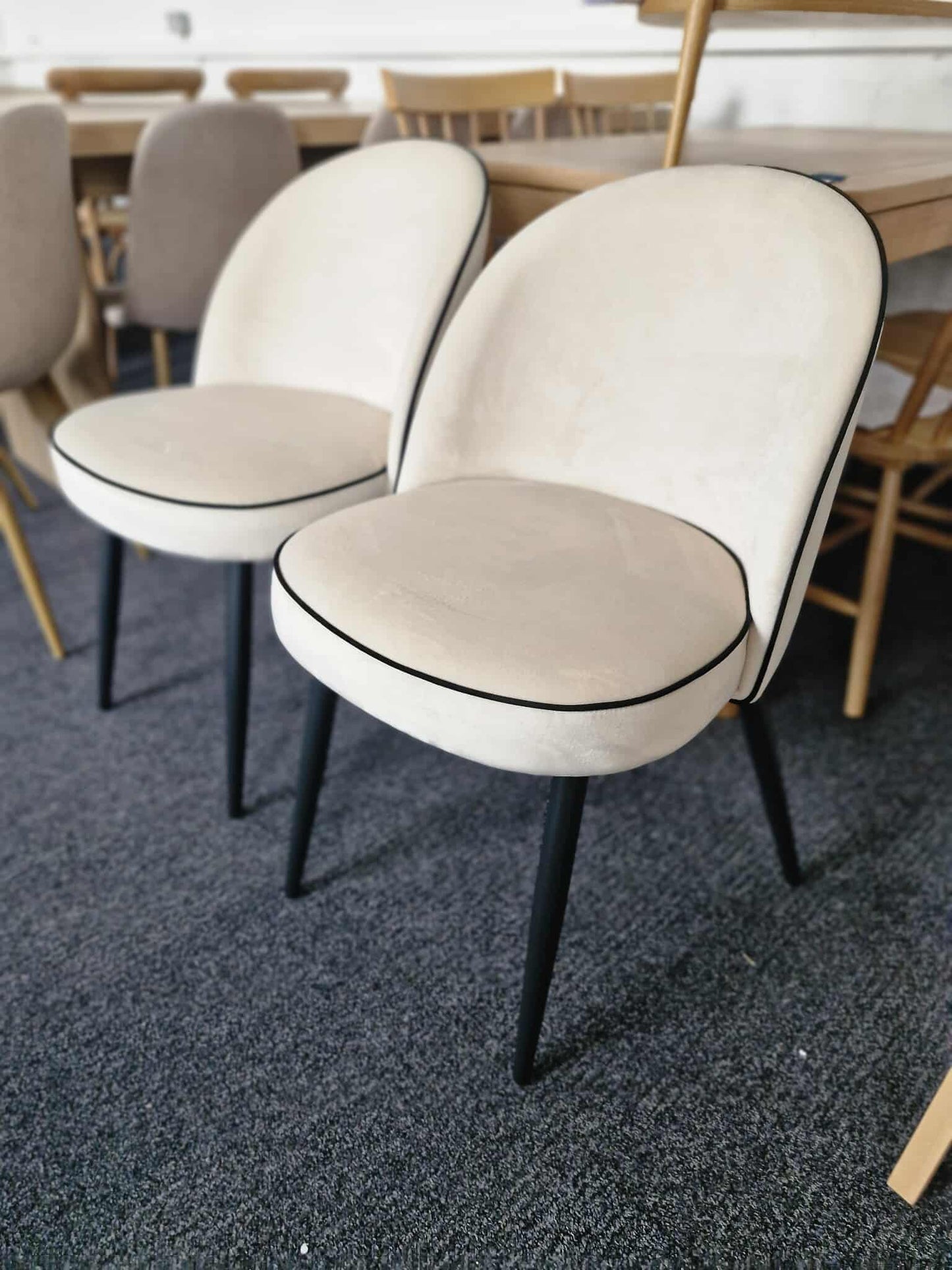 Dining Chairs Set of 2 / Off White Velvet with Black Piping and Black Legs