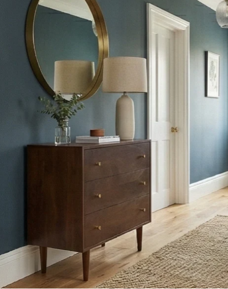 Solid Dark Mango Wood Chest of Drawers / Small Cabinet